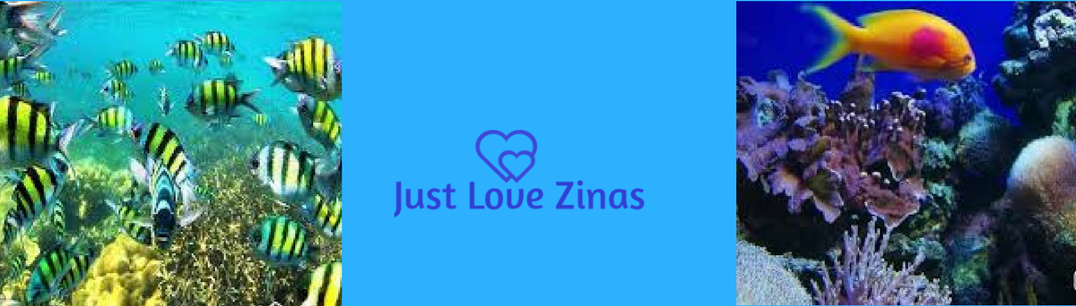 Just Love Zinas Scuba Divers Collection